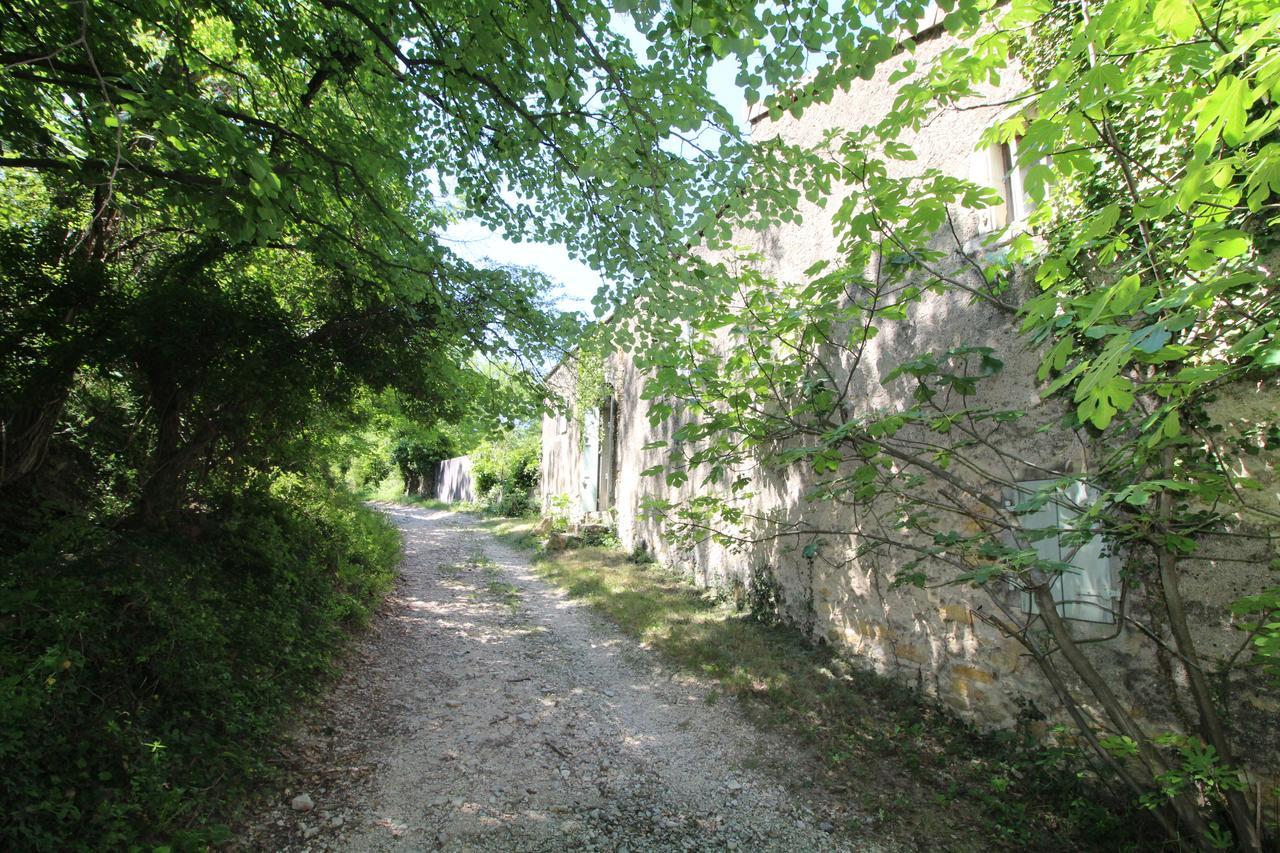 Chateau De Fontblachere Saint-Lager-Bressac Eksteriør billede